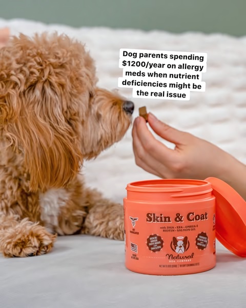 A split-screen style static ad featuring a dog looking at a supplement treat with text overlays that highlight the cost of traditional allergy medication.